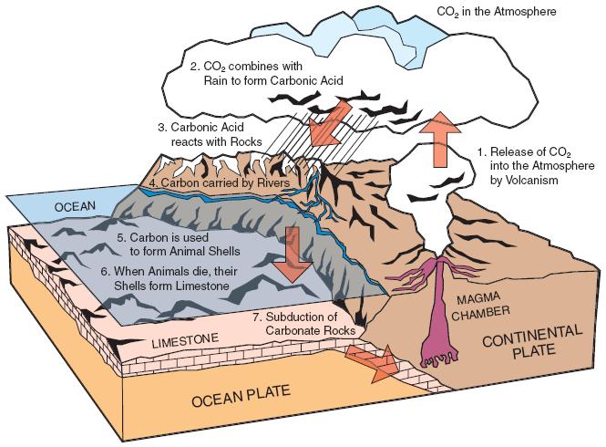 Limestone part of carbon cycle