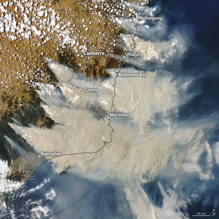 Fig 3: Smoke plumes from bushfires in southeast Australia on January 4, 2020, sent ash over New Zealand. (Image: NASA Earth Observatory)