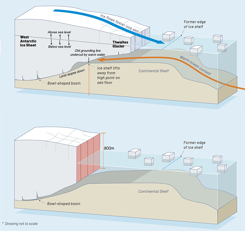 Fig. 3:  'Bottom up' melting: the ice is normally stabilized by sitting on the seafloor. As warm ocean currents eat away at the base, the ice thins, and lifts away from the seafloor, and breaks,  losing its ability to act as a brake on the flow of ice from the continent. Click the image for the interactive webpage.