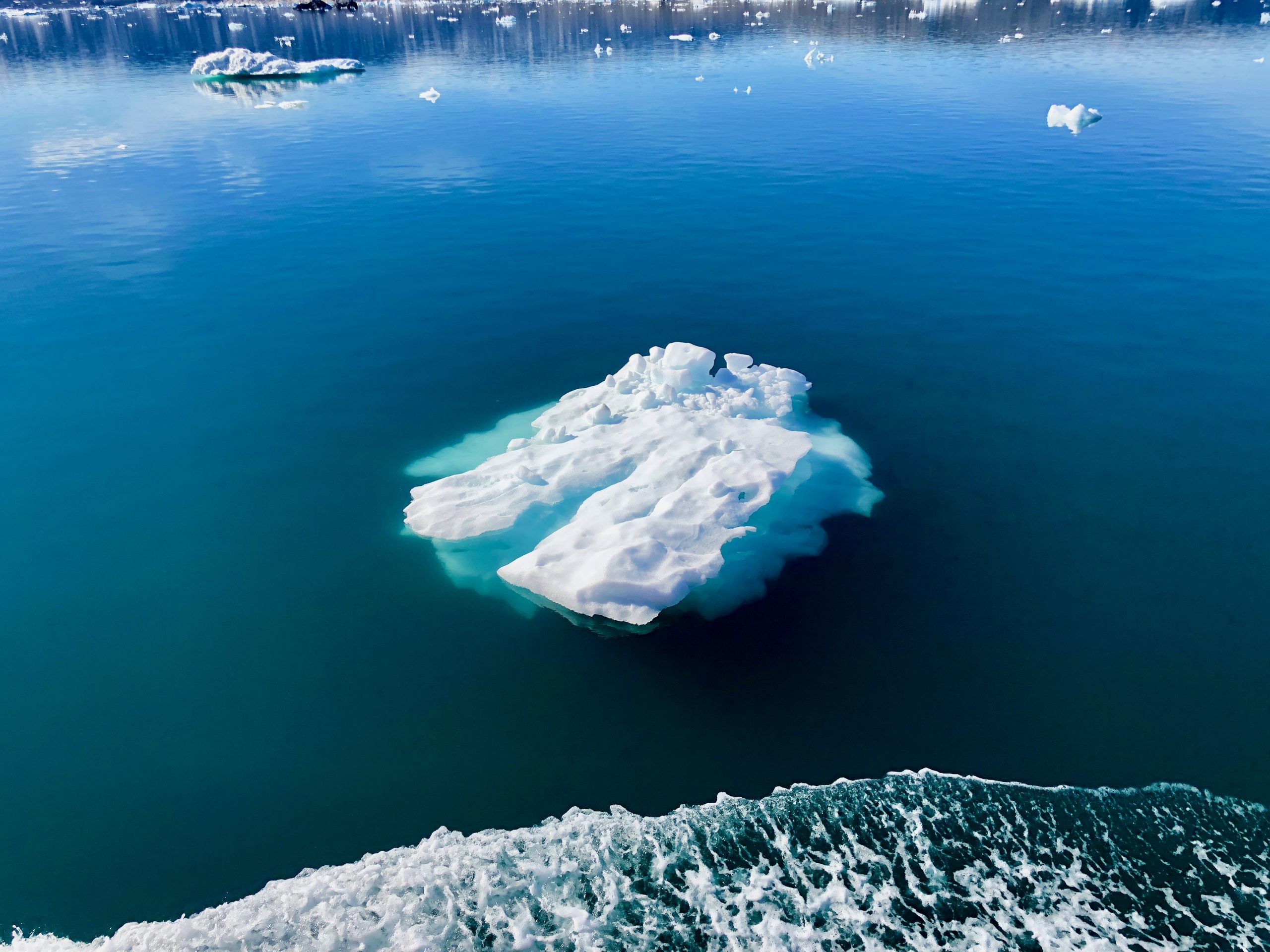 Remnants of sea ice West Greenland . Image: Sonny Whitelaw