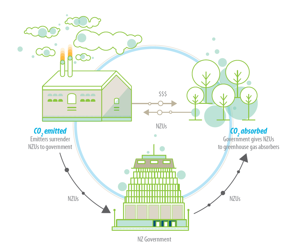 Emissions Trading Scheme And The Carbon Economy – Climate Change ...