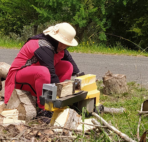 Fig. 5: Splitting logs to be made into biochar (Image: Nelson Whakatu Microforest)