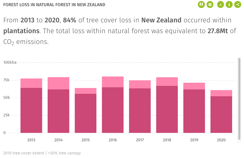 Fig. 1: Loss of natural forests in New Zealand in 2013 -2020 (Image: World Resources Institute).