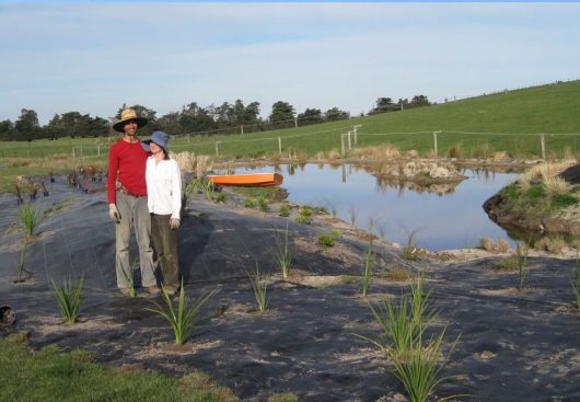Fig. 1: September, 2009. Using an earthmover, the original pond was enlarged and two islands created. With the help of work study volunteers (pictured), weed cloth was laid down before planting (Image: Donna Farhi).