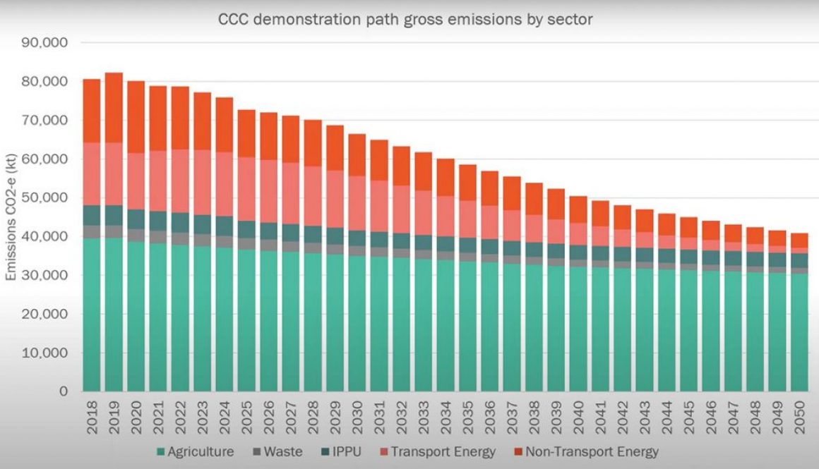 Carbon budget gross emission by sector New Zealand
