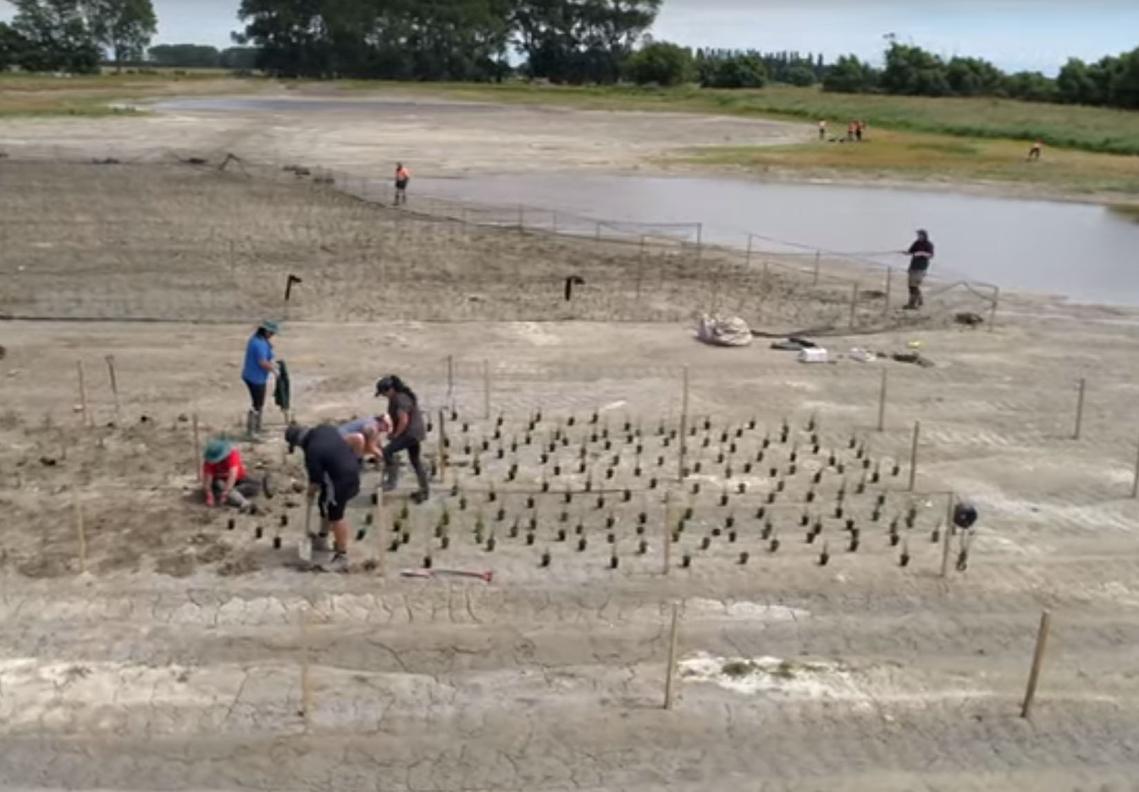 Fig. 3: The planting plan included 132,000 aquatic and terrestrial plants in a carefully designed layout that included an island. Every stage of the works was co-designed by engineers, ecologists, and mana whenua. (Image: ECan/Video 1)