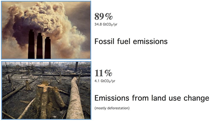 Fig. 2. Sources of carbon emissions 2021 (Image: www.co2.earth/global-co2-emissions)