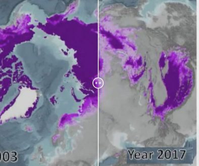 Comparatve images showing permafrost loss 2003-2017, illustrating the speed and scale of climate change.