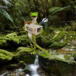 Gecko, fantail, and weta holding a 'Predator Free' trap in New Zealand native forest and stream