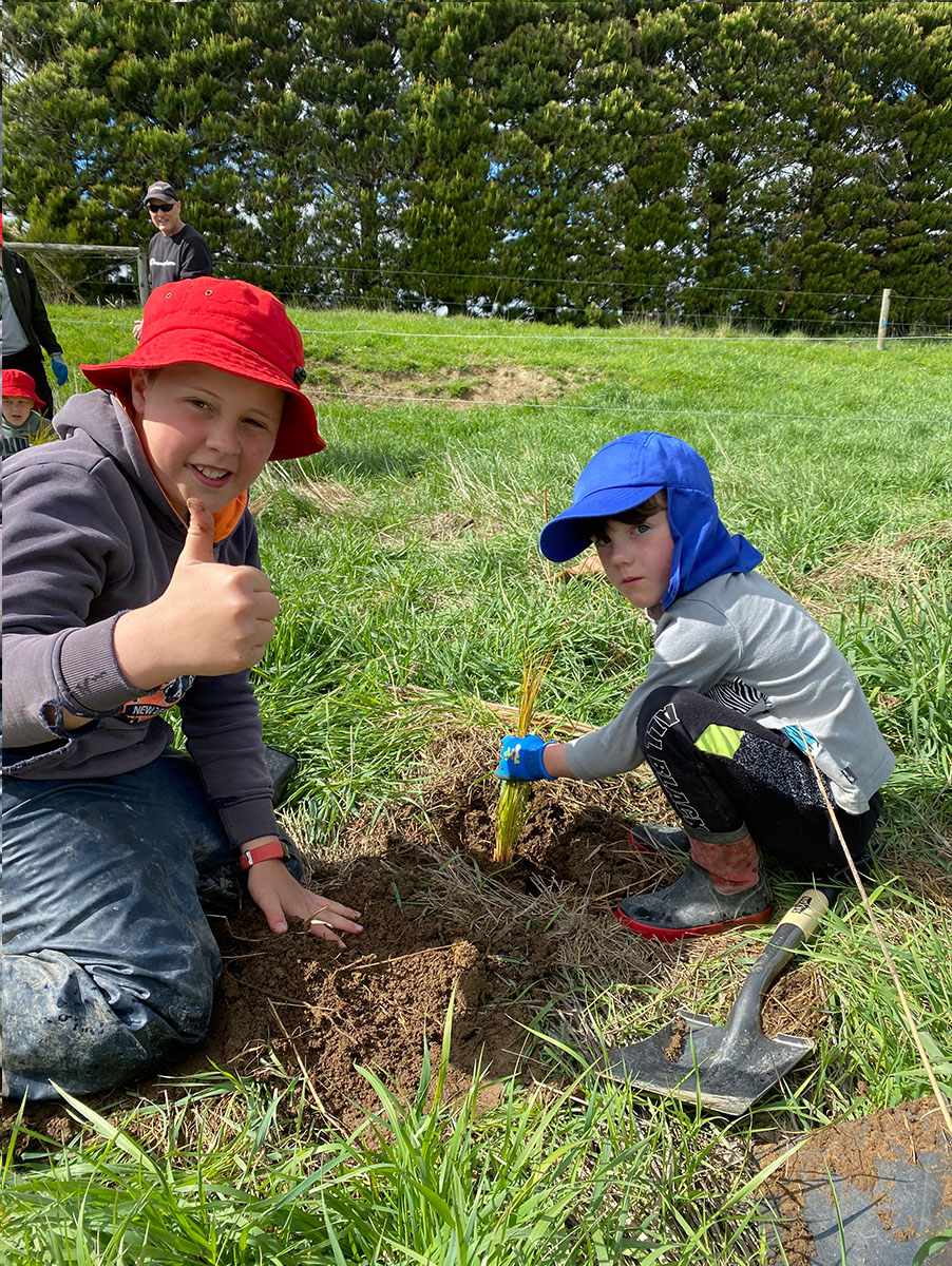 Fig. 1: Students planting native plants around the mudfish kōwaro habitat. Riparian plants keep the stream cool, help filter out excessive nutrients, and store carbon in the soil.