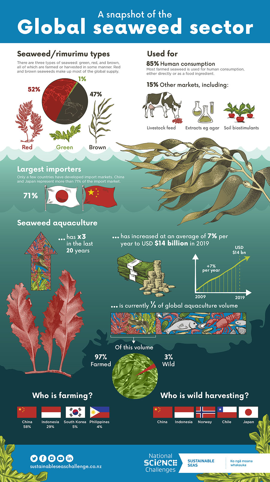 Seaweed sector snapshot graphic