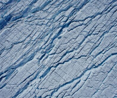 The Greenland ice sheet is falling apart – new study. Image: Tom Chudley.