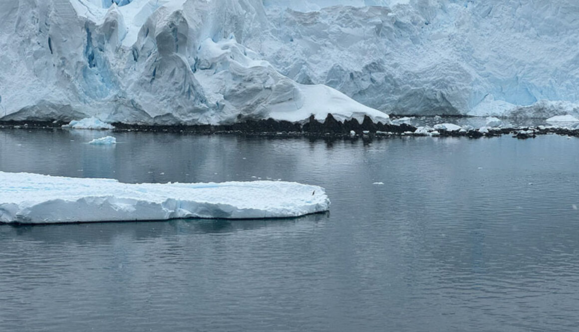 Antarctica: Sonny Whitelaw